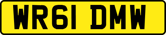 WR61DMW