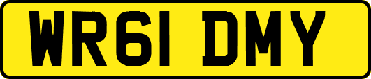 WR61DMY