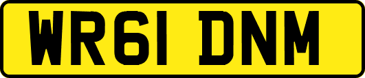 WR61DNM