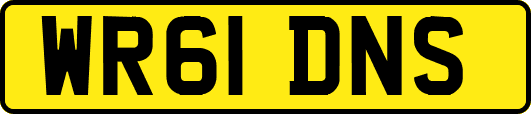 WR61DNS