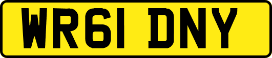 WR61DNY