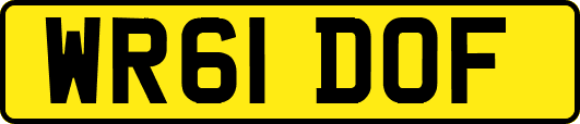WR61DOF