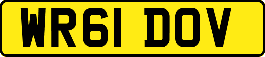 WR61DOV
