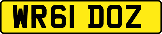WR61DOZ