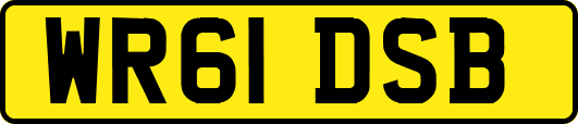 WR61DSB
