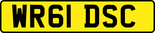 WR61DSC