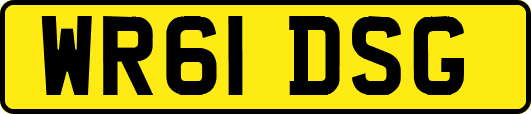 WR61DSG