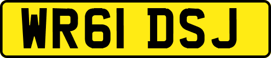 WR61DSJ