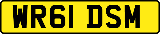 WR61DSM