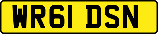 WR61DSN