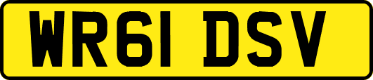 WR61DSV
