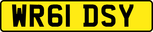 WR61DSY
