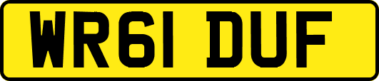 WR61DUF