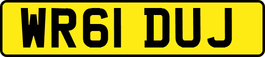WR61DUJ