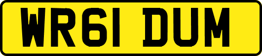 WR61DUM