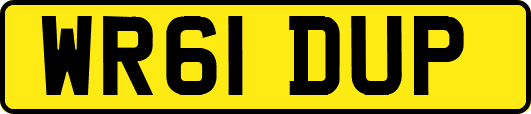 WR61DUP