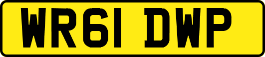 WR61DWP