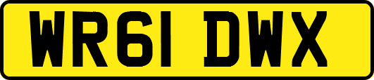 WR61DWX