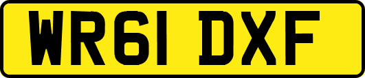 WR61DXF