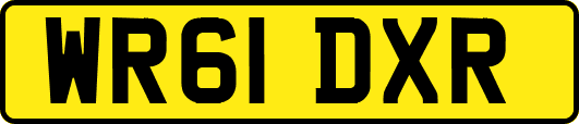 WR61DXR