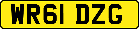 WR61DZG