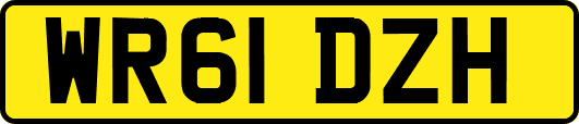 WR61DZH
