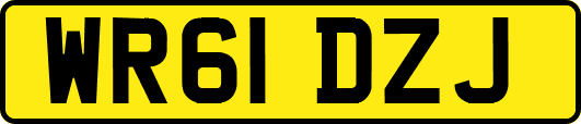 WR61DZJ