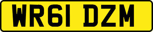 WR61DZM