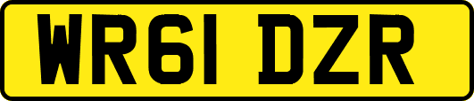 WR61DZR