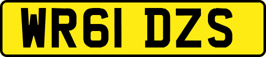WR61DZS