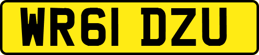 WR61DZU