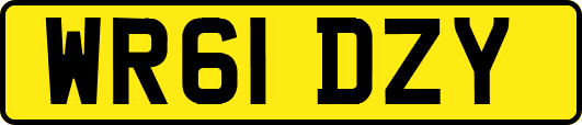 WR61DZY