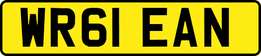 WR61EAN