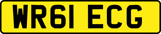 WR61ECG
