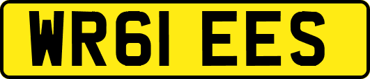 WR61EES