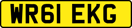 WR61EKG