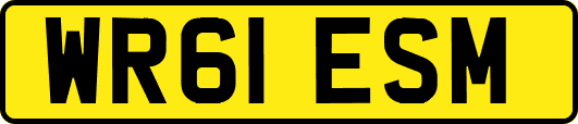 WR61ESM