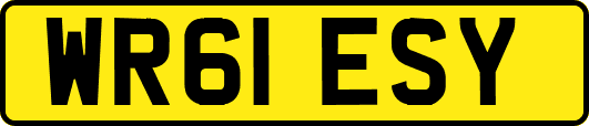 WR61ESY