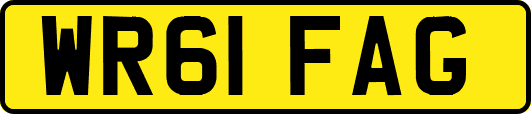 WR61FAG