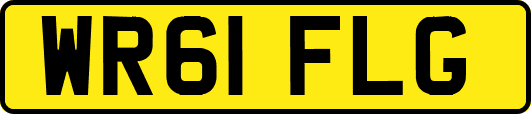 WR61FLG