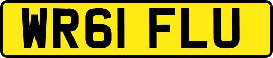 WR61FLU