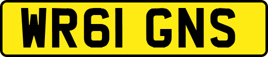 WR61GNS