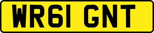 WR61GNT