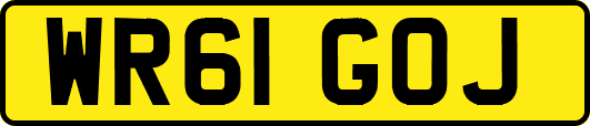 WR61GOJ