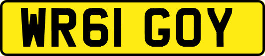 WR61GOY