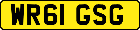 WR61GSG