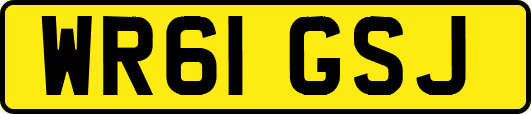 WR61GSJ
