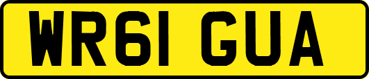 WR61GUA
