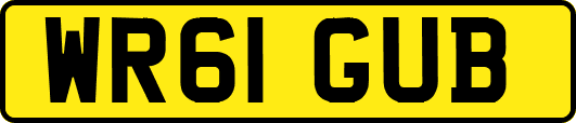 WR61GUB
