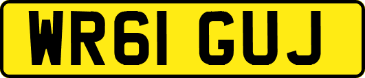 WR61GUJ